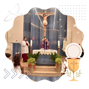 3_20240126_163645_0005